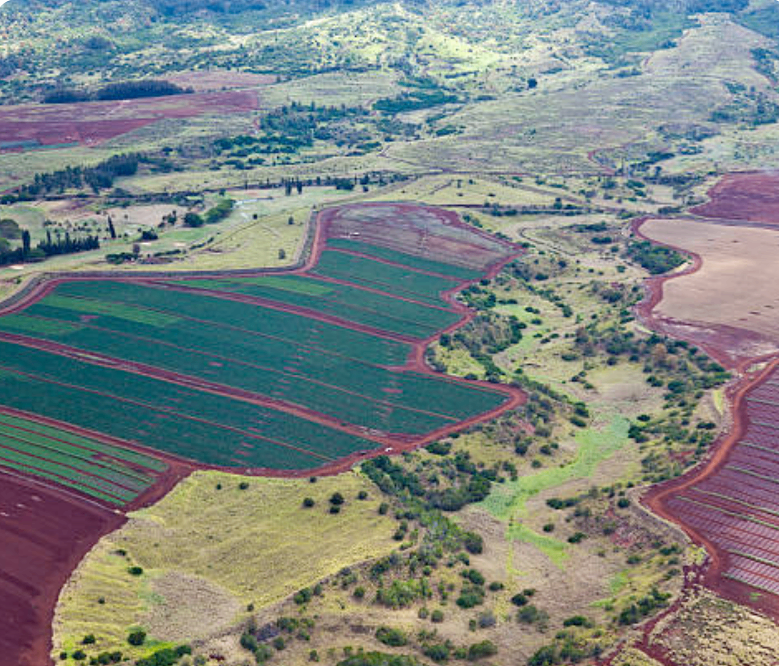 Aerial view of African farmland